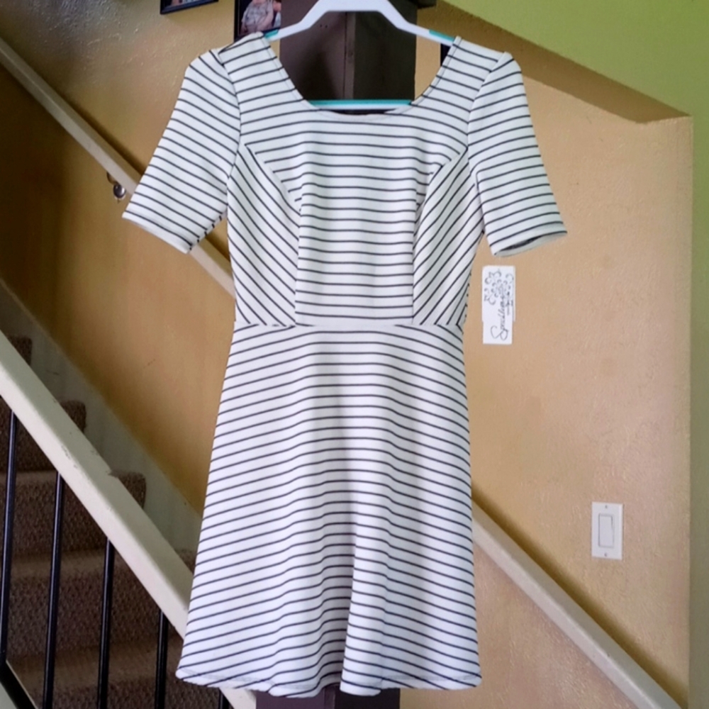 Speechless Striped Scoop Neck Mini Dress NWT Sz M
